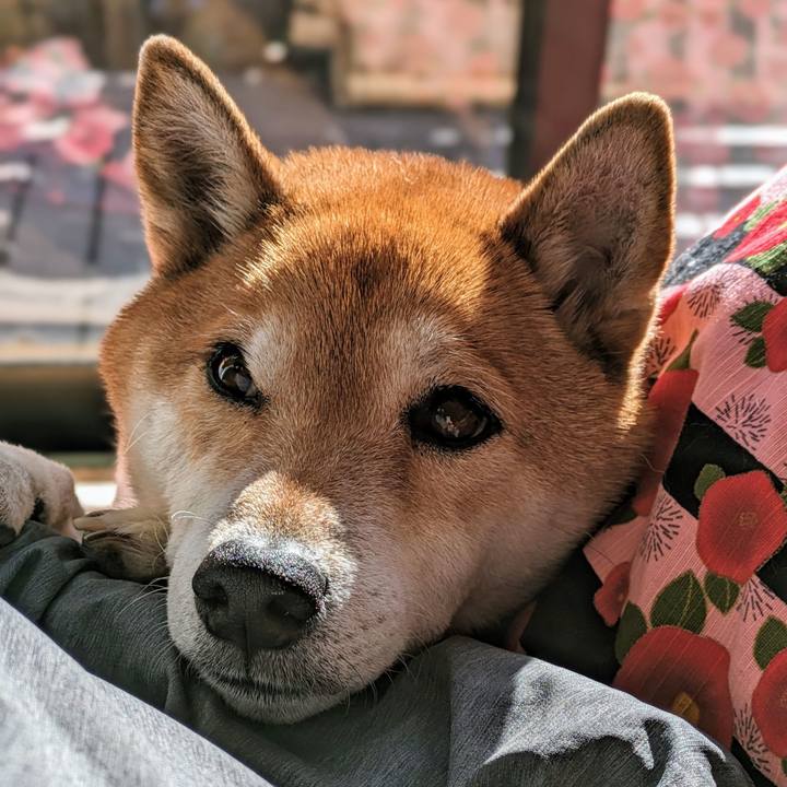 9879a408 dd60 4999 94a0 ed947d6fcb46 1705218369578