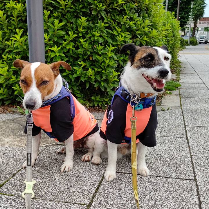 9879d0dc f320 4300 acd6 1718a06f8d28 1622246883953