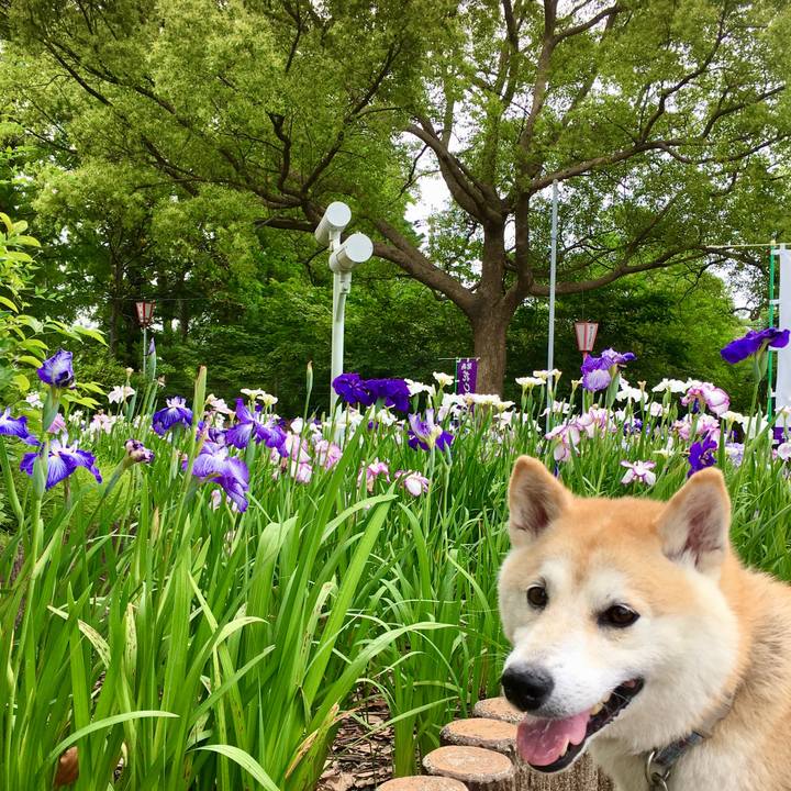 9879d78a 1ee6 4d84 8ecc f754c046e545 1749989914509