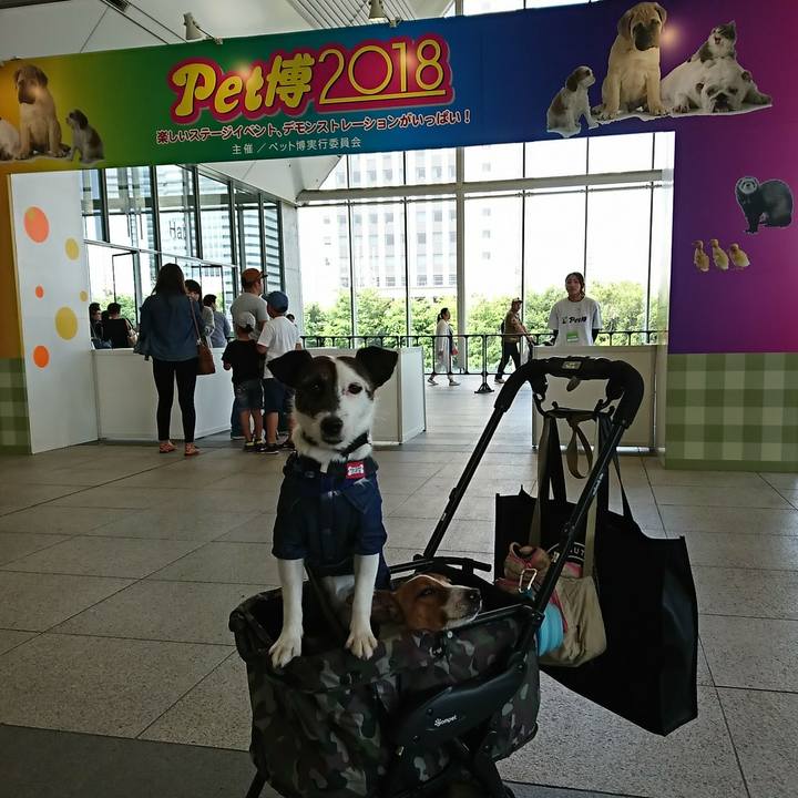 9879d81a ffef 4514 b52a 5aa377f677b8 1525580139661