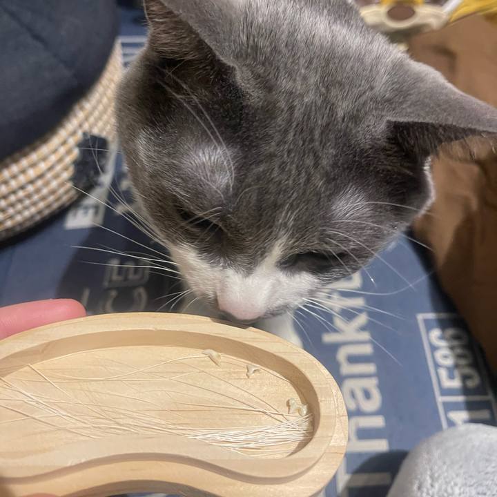 9879e327 5881 4df5 a251 6f97332aea40 1739461358717