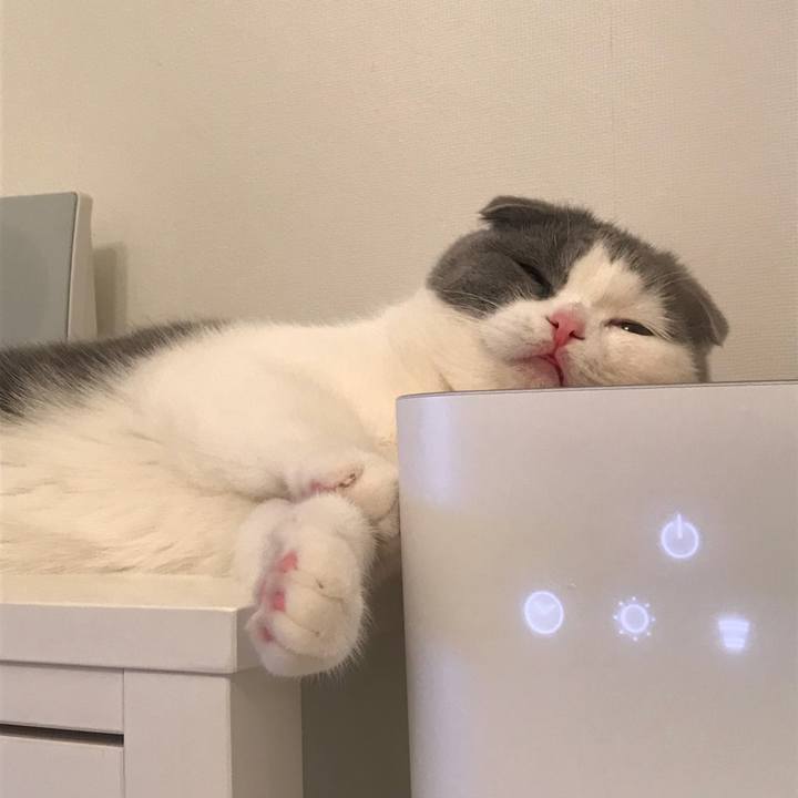 987a7a7a 5f08 45d7 b881 5e333cbe682c 1513377366802