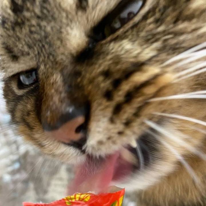 987a8936 366f 42ca 8fcb 973a07c2c359 1772228473624