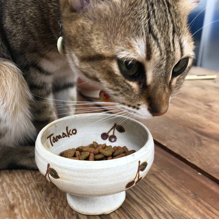 987ab43c fdd8 4cbb 9ed6 de1a316ad310 1636104563190