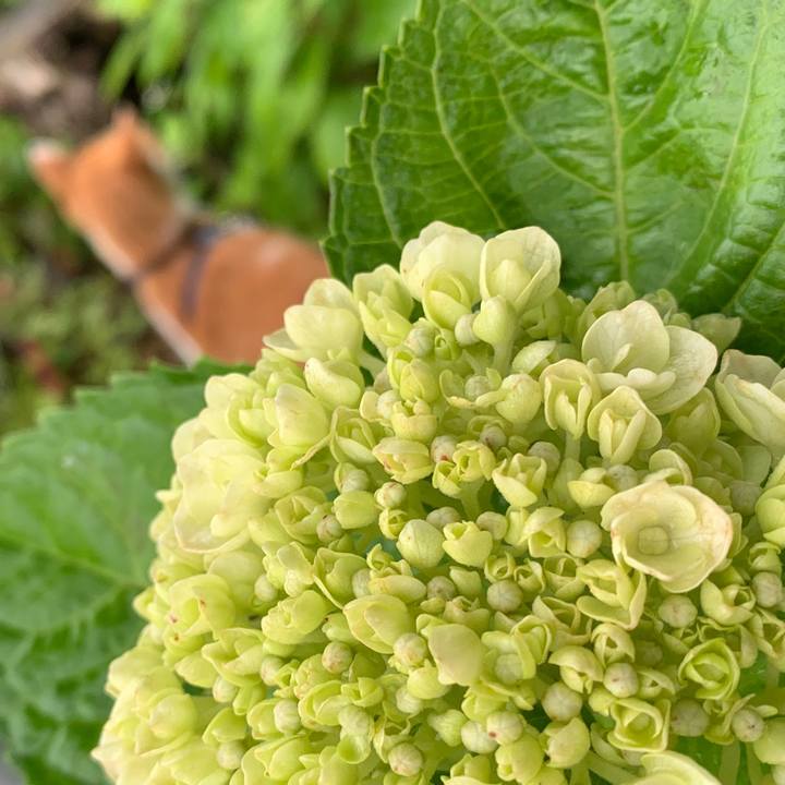 987ad032 6cec 4bab b964 b7947ff36d4f 1594108650292