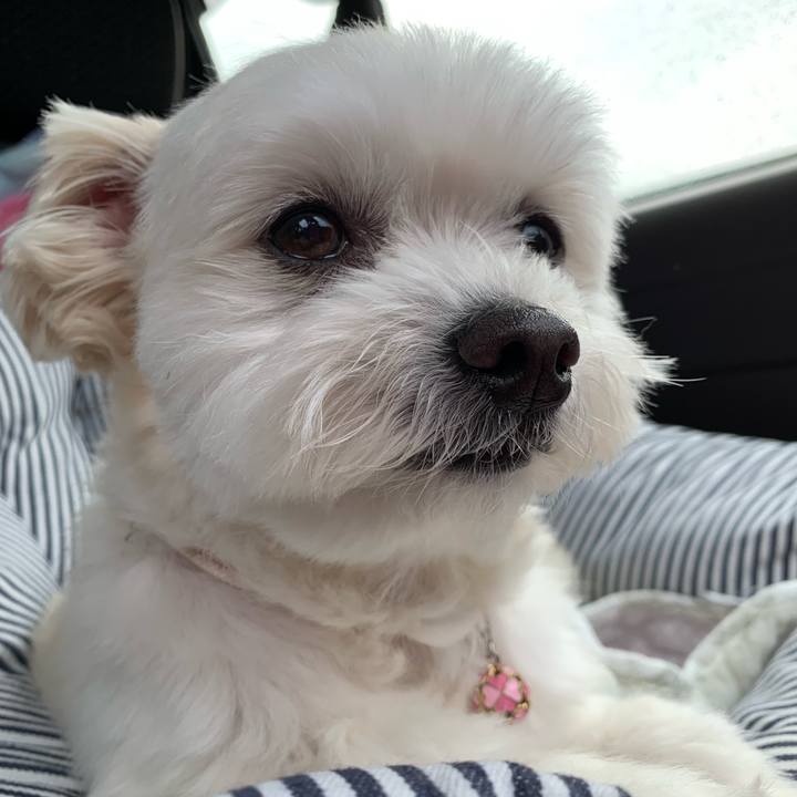 987adee5 5de0 4de7 bc32 b7cb8dab62d9 1650528509733