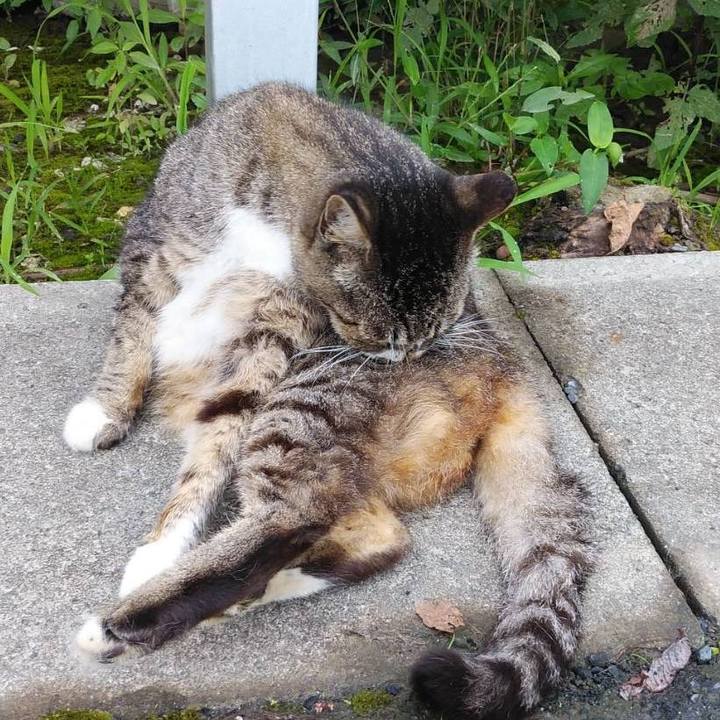 987afdc5 333a 494a be4e d92d9a516099 1595291320740