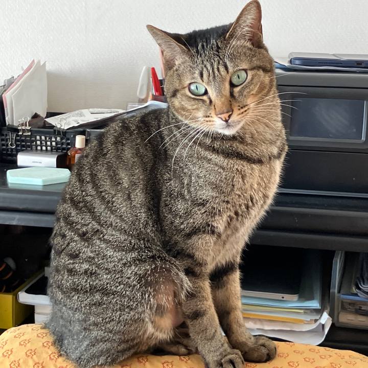 987affdc d4e5 4654 9140 8fd76fe7dedf 1763418284824