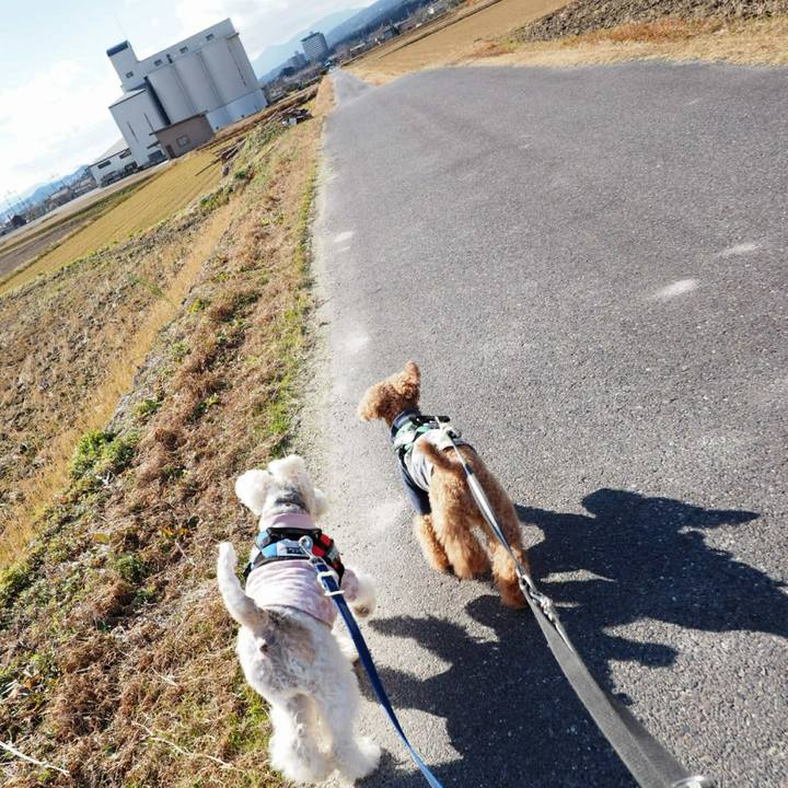 987b0cd3 f32f 4dba bd90 2ad62e45f80c 1513493975687