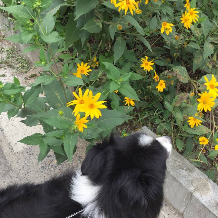 987b2549 c1db 4f2d b3e2 bcd5057c91e2 1567818338623