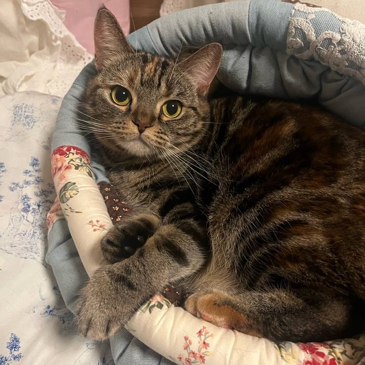 987b56b7 e806 4db1 84f1 4691c3749ec7 1765713757299