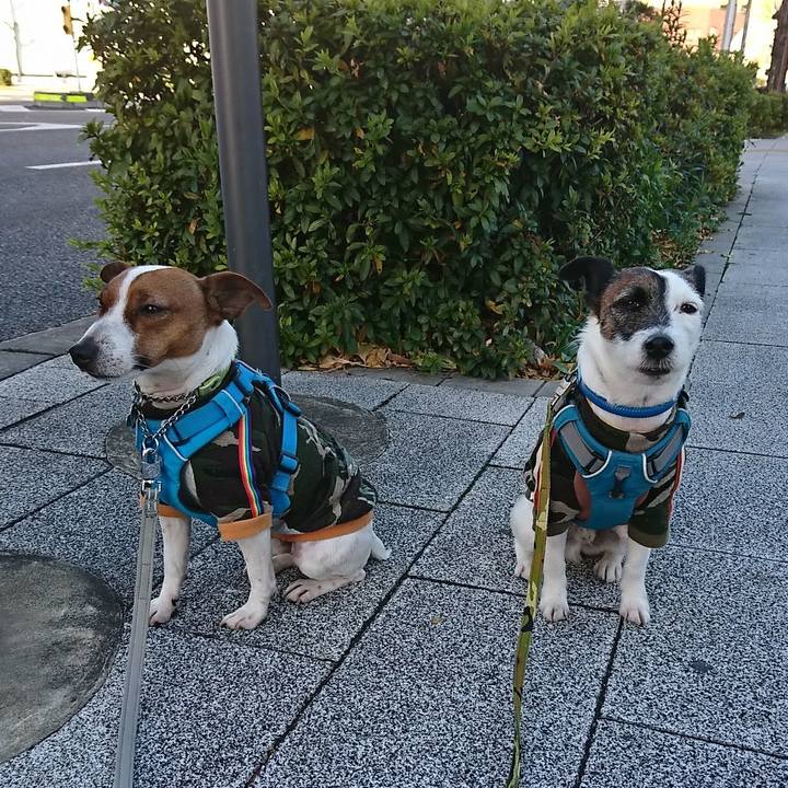 987b97e9 6b16 46b9 bc81 411512db6c7f 1578093376529