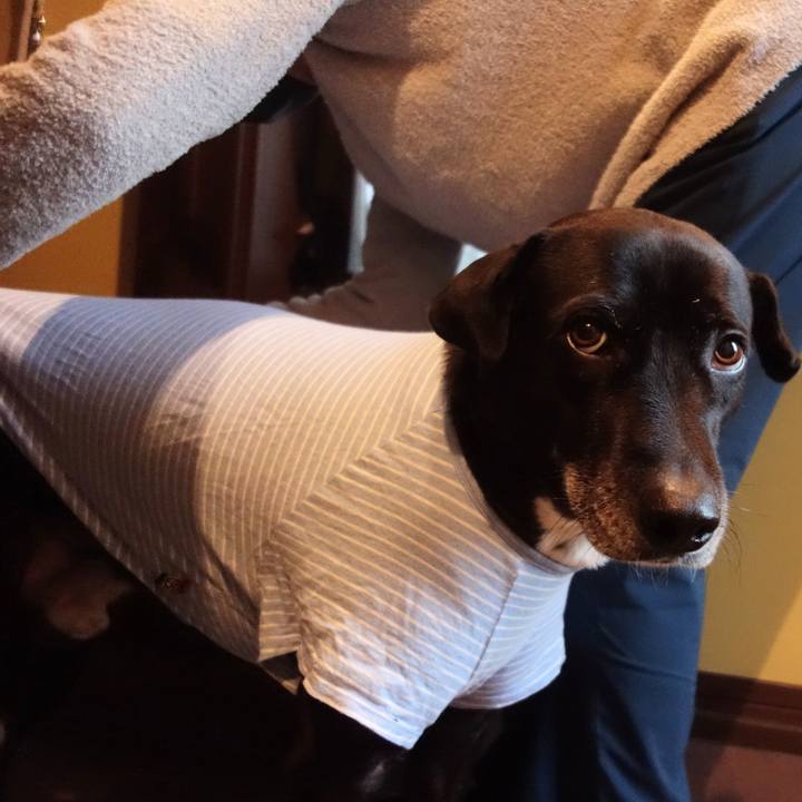 987bb094 9b48 4891 81f3 201a7053638b 1672707820482