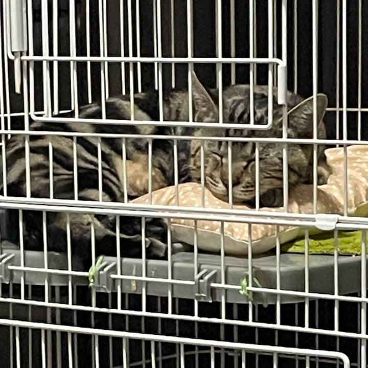 987bf097 a4a1 4706 a1ae 3d50797487ab 1695971117448