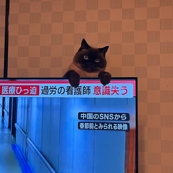 987bffdb 18b7 43bb b161 a30544c7978c 1674430716529