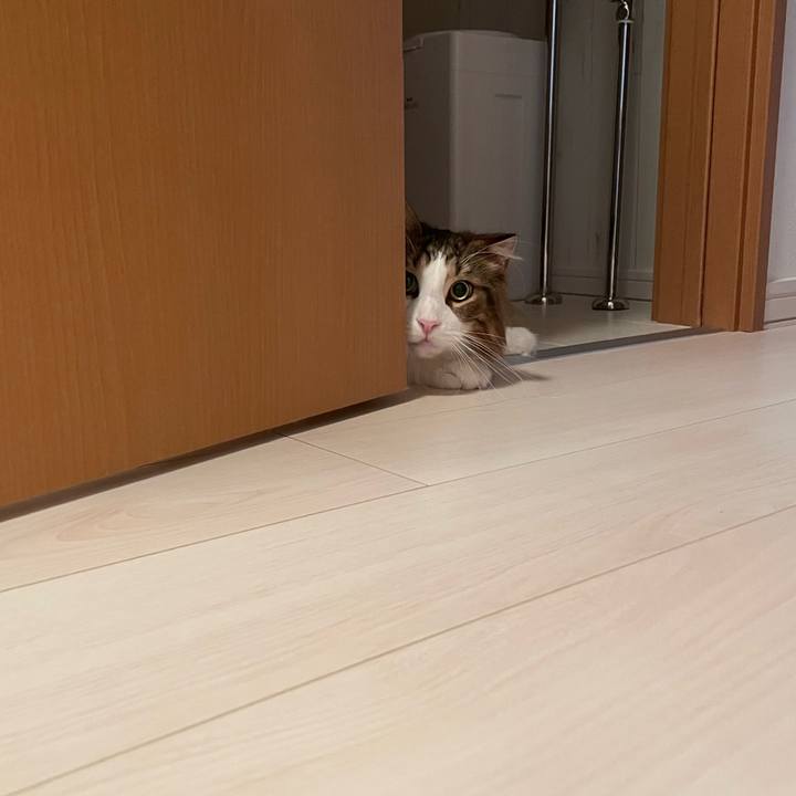 987c0b4f 7586 48c5 b55e 345159e12b99 1664195285938