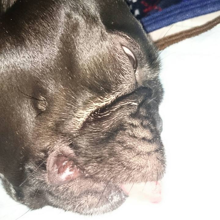 987c1cb5 d68a 4a1b b82d e0fb734961af 1511136495005