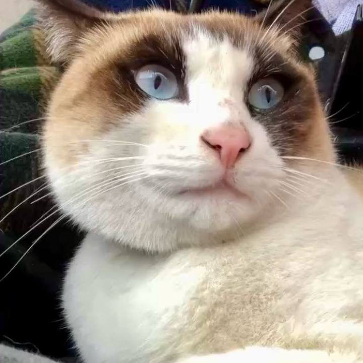 987c1f94 4fad 4b5a b3a7 dd967bdb2e91 1739326464792