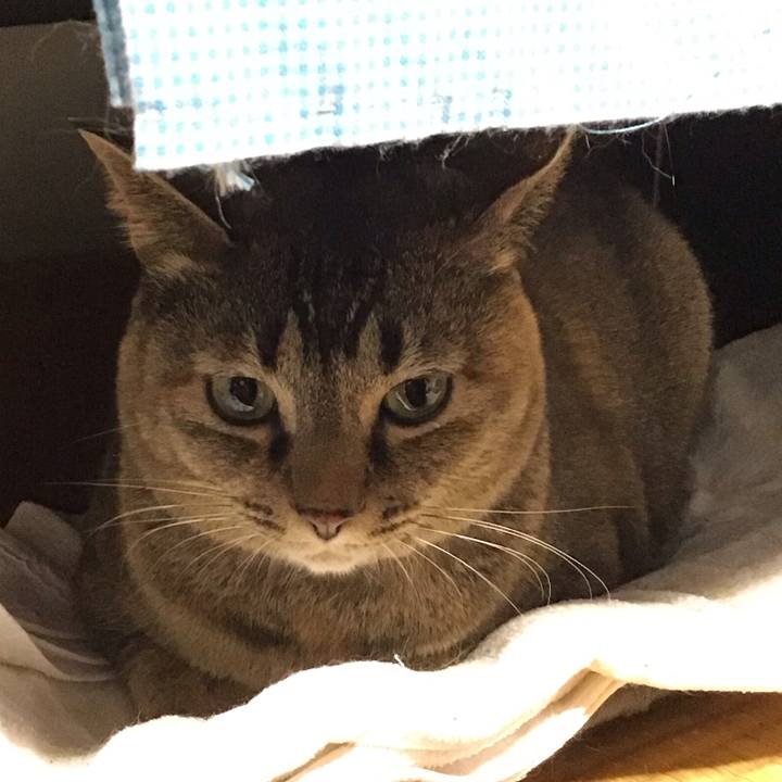 987c2f72 8a77 484d 85aa 2f8f7528206f 1676550721008