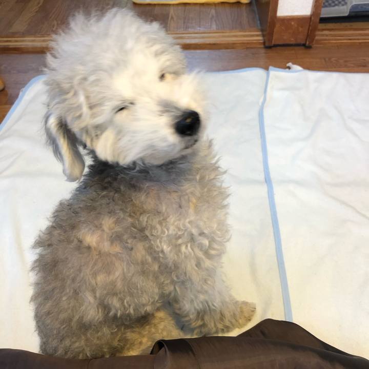 987c463d 87c9 41b5 b196 c413ac58a964 1613519531658