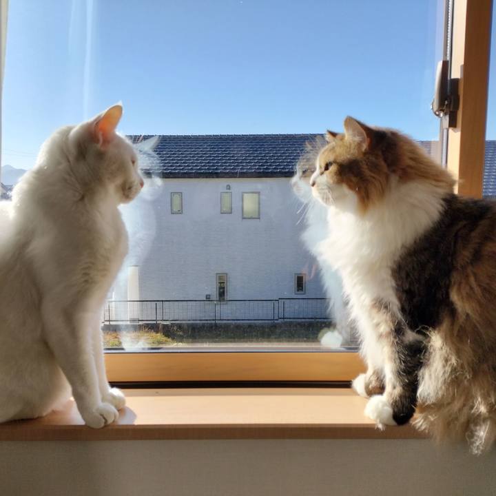 987c4b84 8ed5 4b57 84b2 2ff2b8fca99c 1765800482010