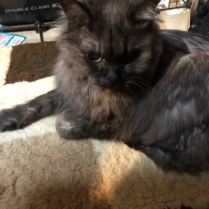 987cbd34 8592 4317 8143 506437a78799 1549320367138