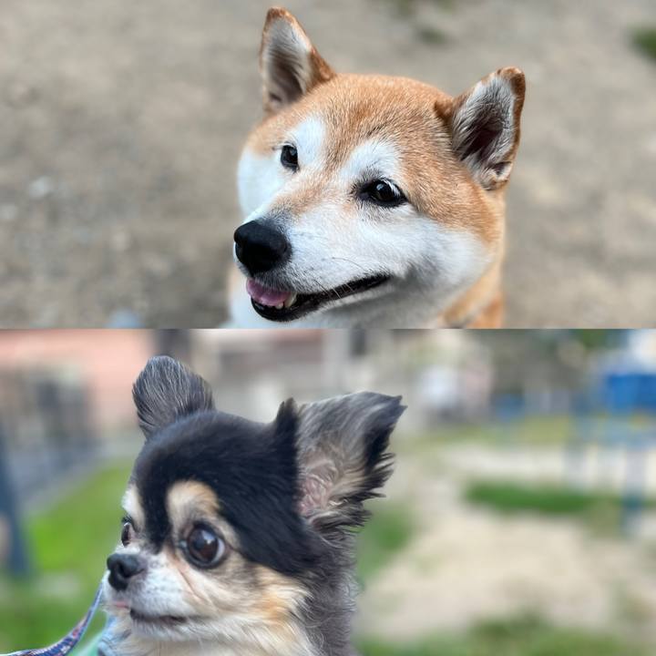 987cc4c5 cc85 4ca6 b5f1 79cc711d8ccf 1687170784114