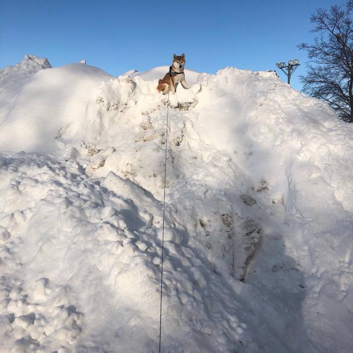 987cc59f 7e87 465d a713 85f7282e4d92 1580775097897