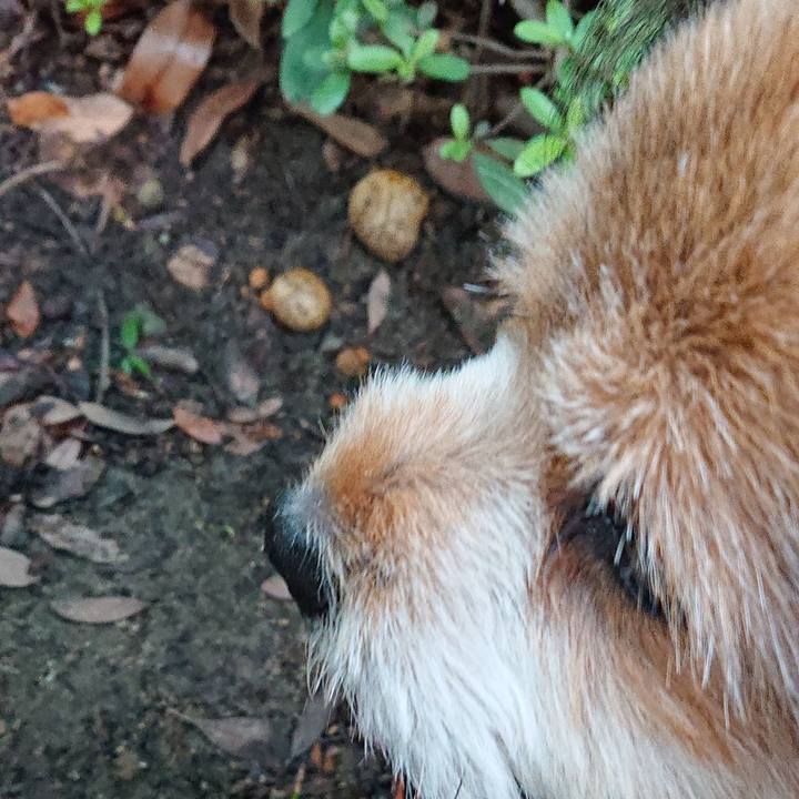 987ccc1f 3409 4840 aef5 11037138226a 1567415852578