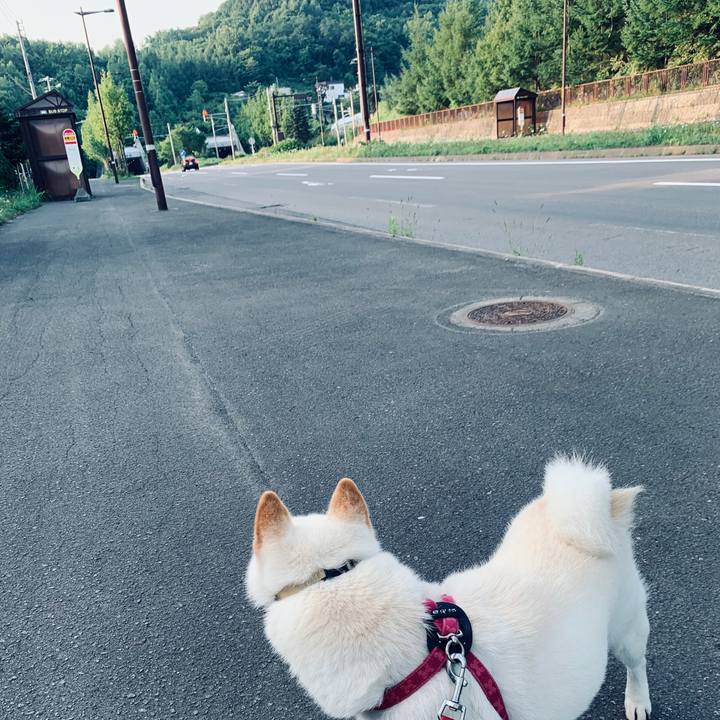 987d1676 117f 4b59 a4f3 e776c07933ea 1564695626315