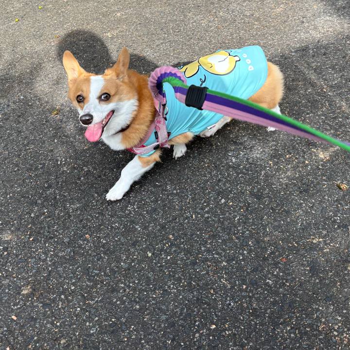 987d19a4 3bc4 4757 a1c7 a9a8626f2fa1 1759541067796