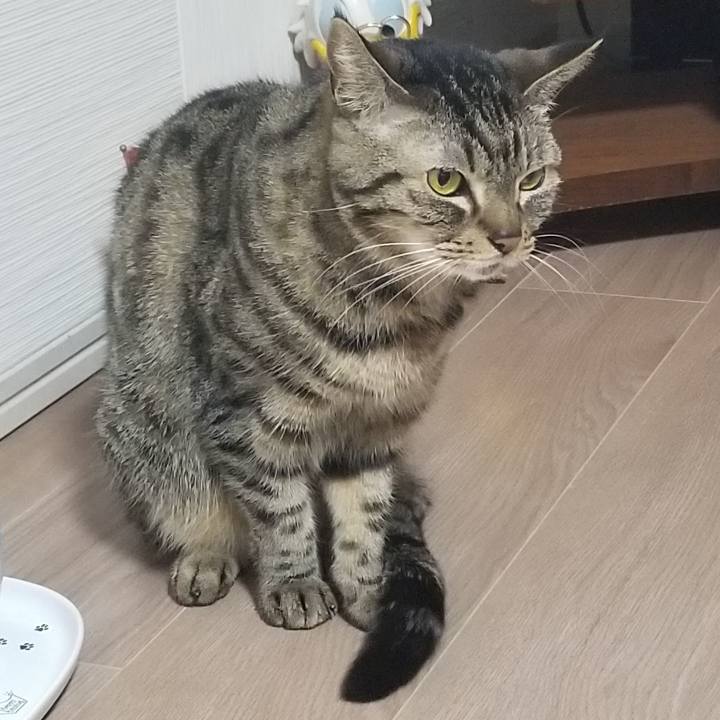 987d3a75 73db 4520 8154 45bc45eb3a1a 1586079414930