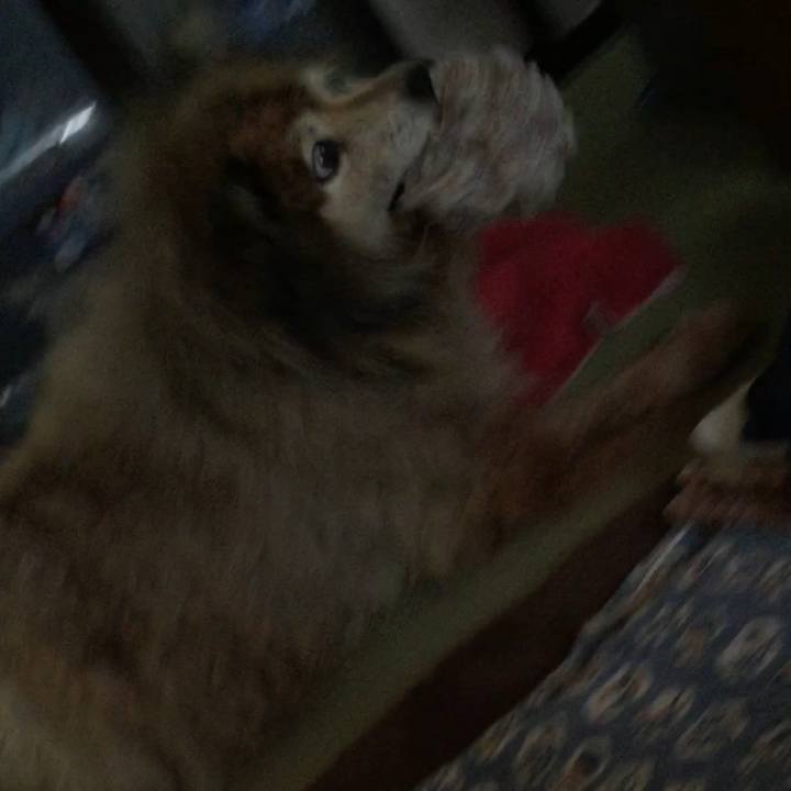 987d6137 adbb 46d1 a9df a2cc63cf53b3 1654149852865