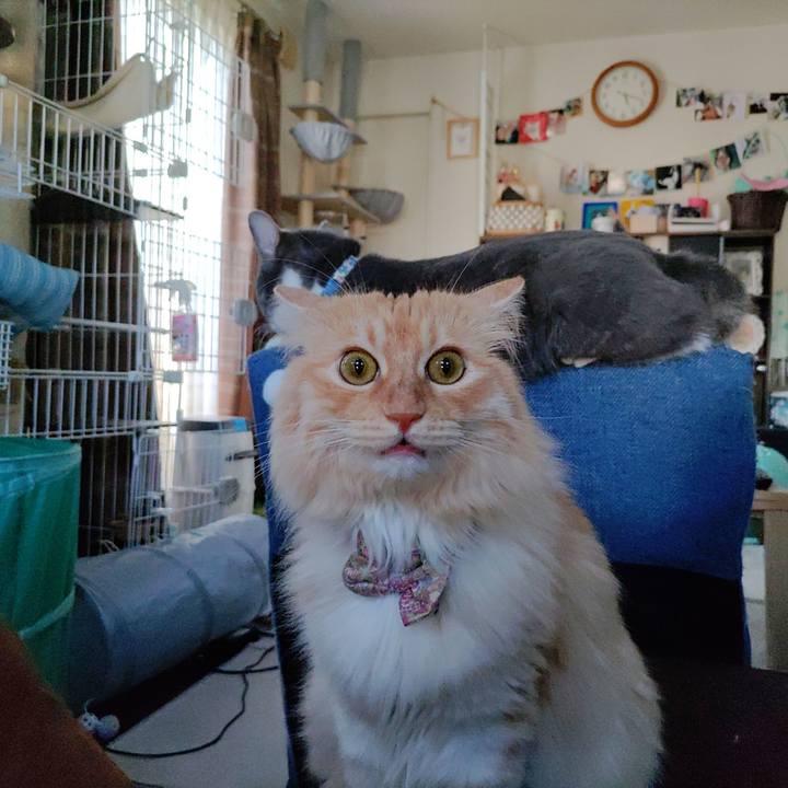 987d6394 15f1 46fb 98a7 85bf8fc8c607 1689583459202