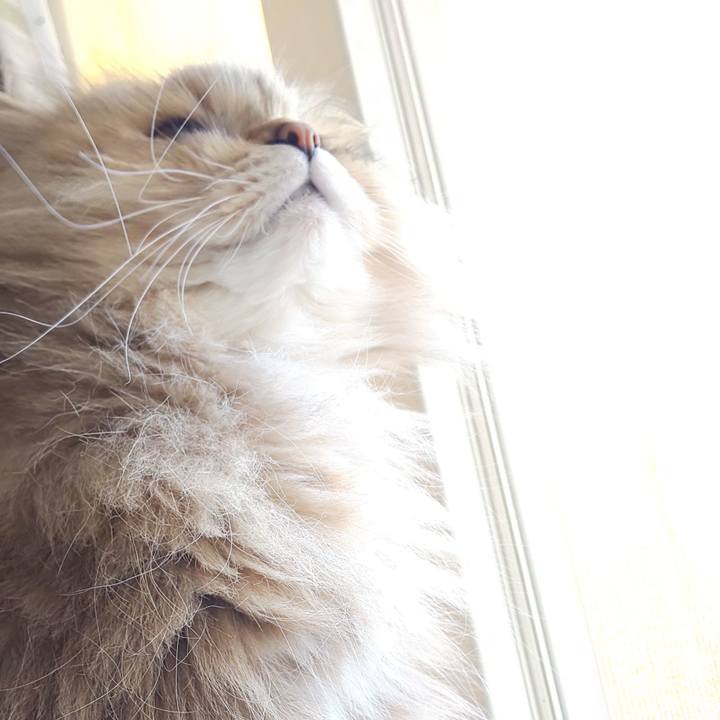 987d8174 b7f5 46ea a2b5 fc6fbe9e3aac 1619065765835