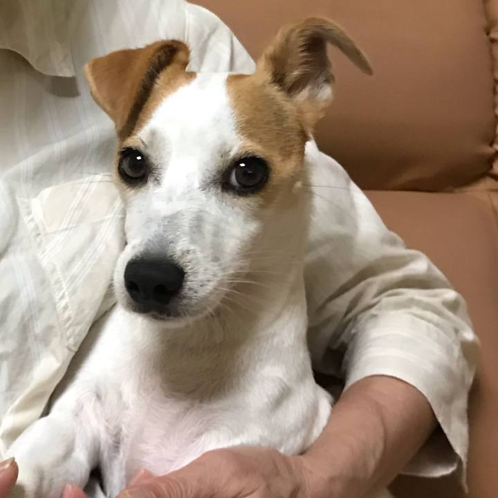 987d9158 799f 4dad 9980 887057ddd692 1595466859353