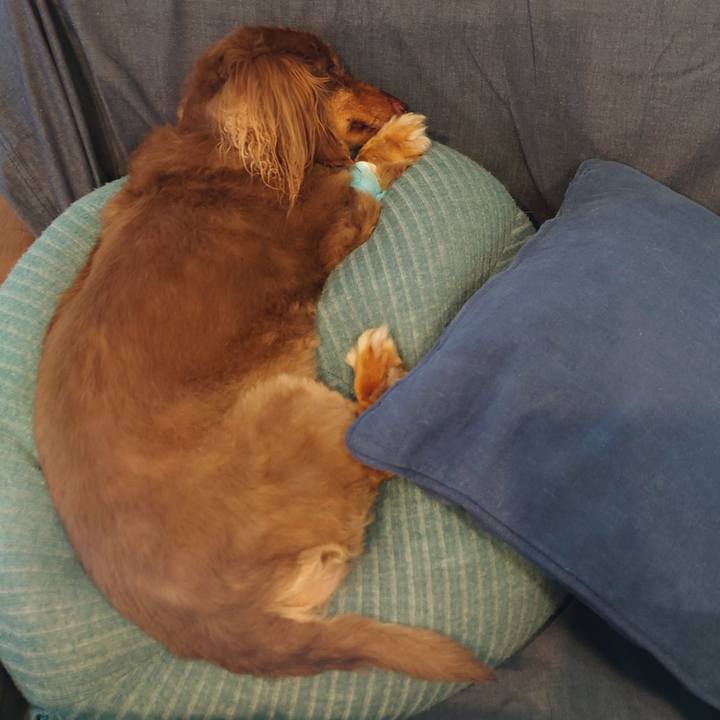 987da585 588e 4f63 b63b 17e4be7cdaf0 1688090962439