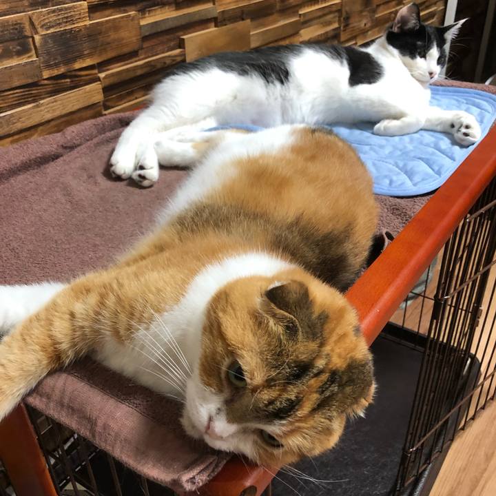 987da991 d96d 4fcd ae96 f90a5580224f 1625927094586