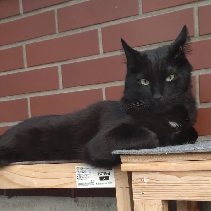 987dc147 5632 4426 a5fb 3a53d162c03e 1682931226741