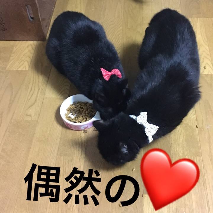 987e2aaf 4964 48c4 bc79 60c0acb7ad18 1534478902497