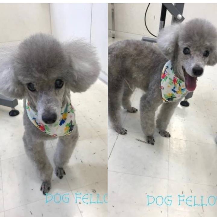 987e408b cab7 4168 97b1 f9a58cde61cd 1627560373663