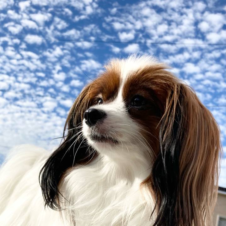 987e40d9 daec 4b46 8d7d fb7c1983c88a 1661382011284