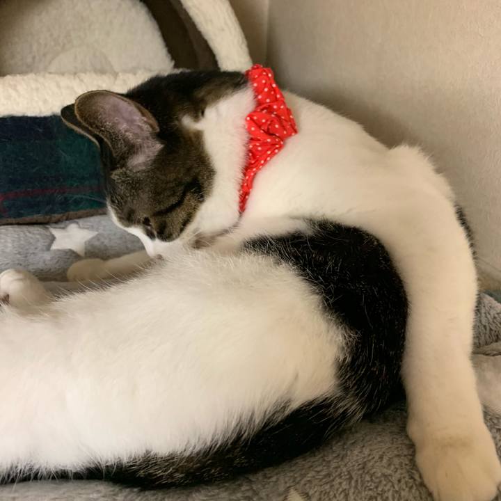 987e4e6b 62fc 4dc2 8378 d9fedc04a25a 1543332850955