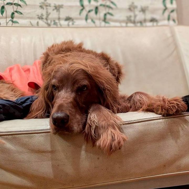 987ea551 fe86 4df2 a5dc 52af7b501f98 1764589539179