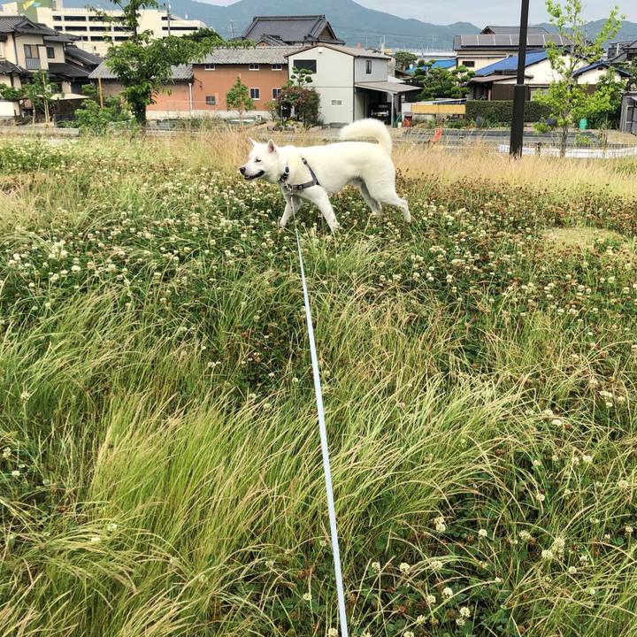 987ee770 fbde 4662 83f1 f2737631f370 1591185126027