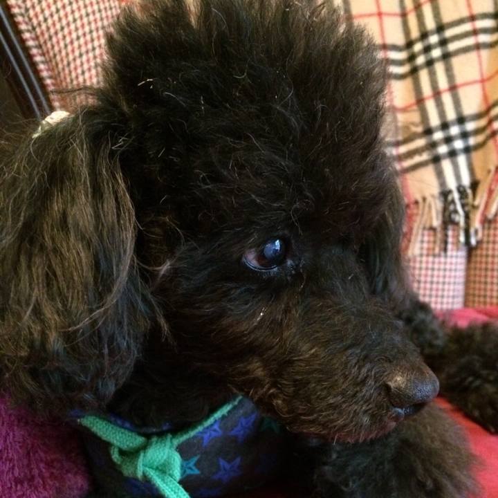 987efa67 24e3 4f11 b95d 324f0d5107de 1554479997852