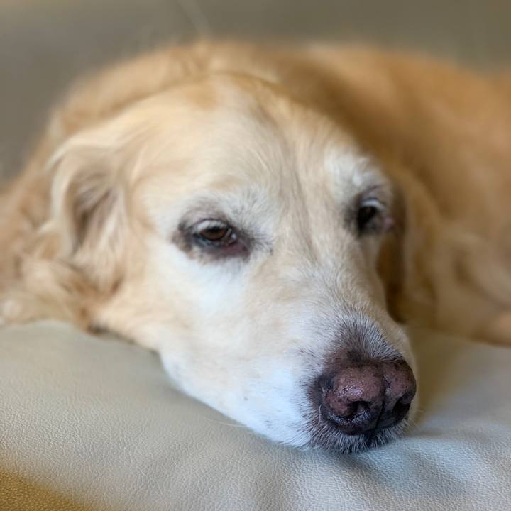 987f0bc5 b66e 4b9b adbd 84fa7cf20d48 1558696084617