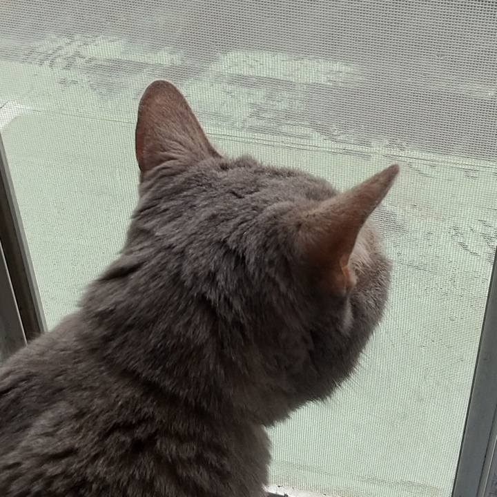 987f4a3f f8f6 4d71 be60 9200f2aa7ebb 1684538506415