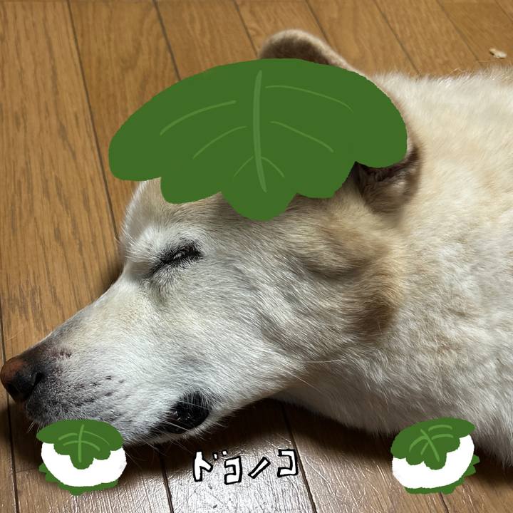 987f4c3f 6f8f 445a 9868 9a498fec7310 1749218153996