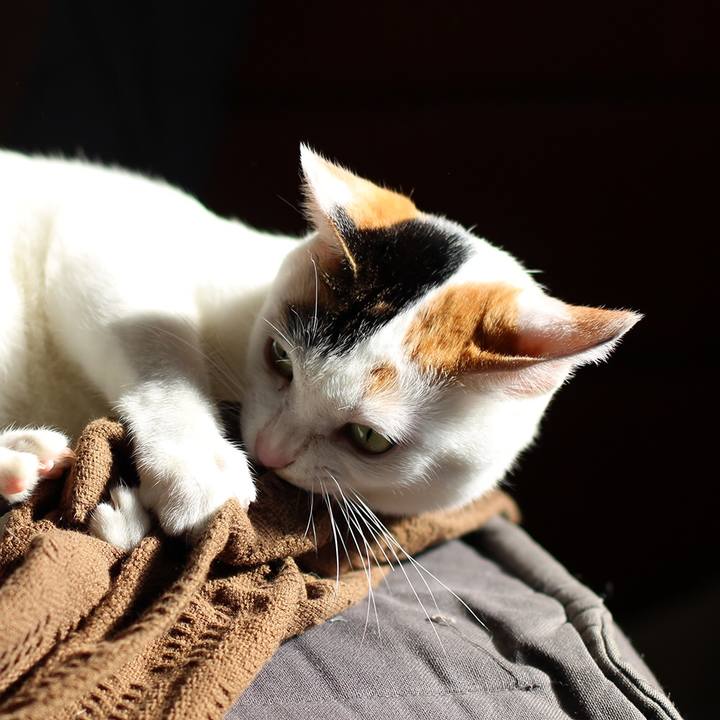 987f84e7 f232 40f6 ad15 3481fed3e0b0 1583339821958